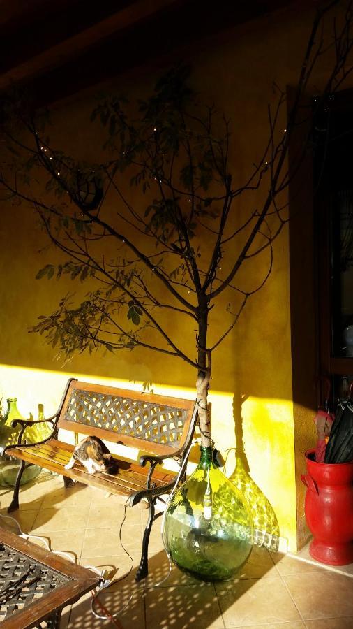 La Cascina Di Alice Bed and Breakfast Castiglione Delle Stiviere Buitenkant foto