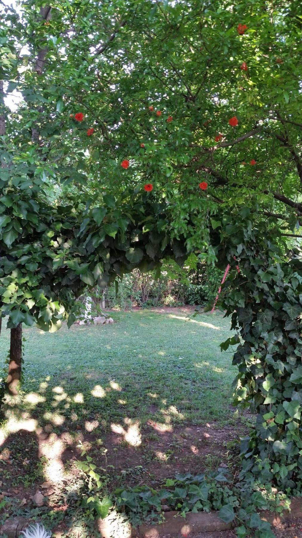La Cascina Di Alice Bed and Breakfast Castiglione Delle Stiviere Buitenkant foto